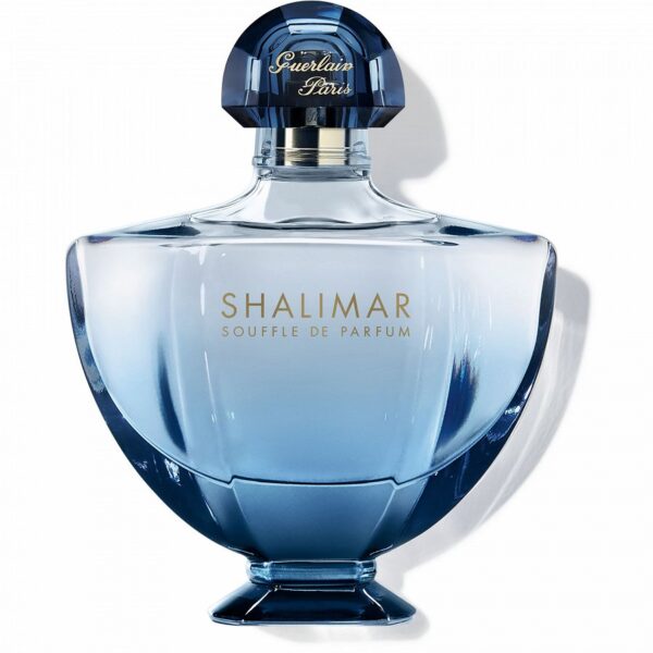 a607d35c40af80f6ebbc4e06caffb521